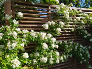 Cocon intimiste en village provençal