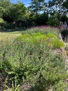 Le Garlaban comme décor