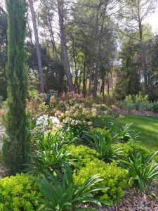 Un jardin clairière