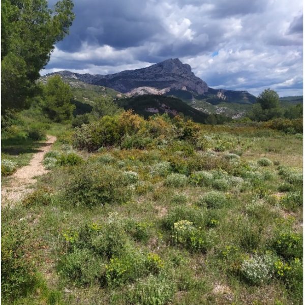 Collines provençales